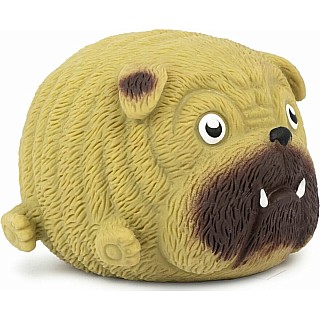 Squidgy Pooch