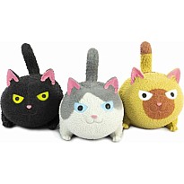 Squidgy Cat