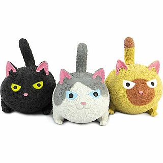 Squidgy Cat