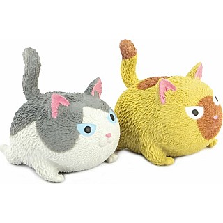 Squidgy Cat