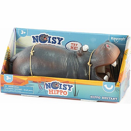 Noisy Hippo