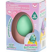 Hatching Butterfly
