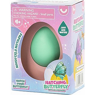 Hatching Butterfly