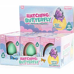 Hatching Butterfly