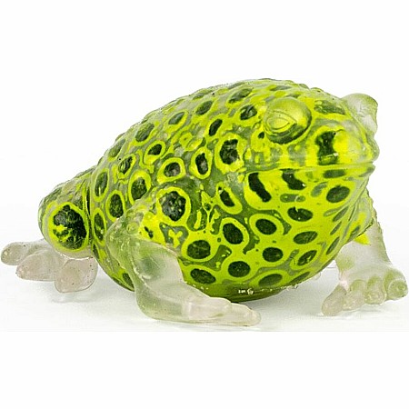 Beadz Alive Frog