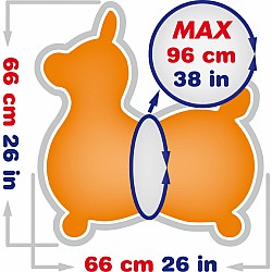 Gymnic Rody Max Orange