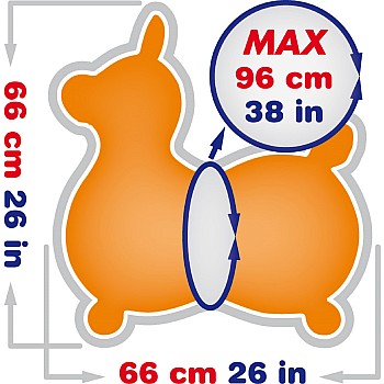 Gymnic Rody Max Orange