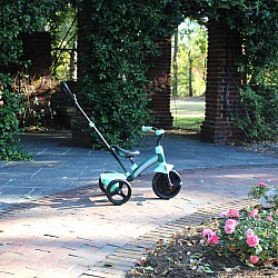 Junior Plus Tricycle