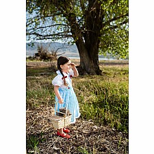 Kansas Girl with Bows - 5-7 Years (L)