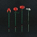 LEGOÂ® Icons: Bouquet of Roses