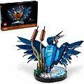 LEGOÂ® Icons: Kingfisher Bird