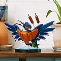 LEGOÂ® Icons: Kingfisher Bird