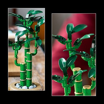  Lego Botanical 10344 Lucky Bamboo	