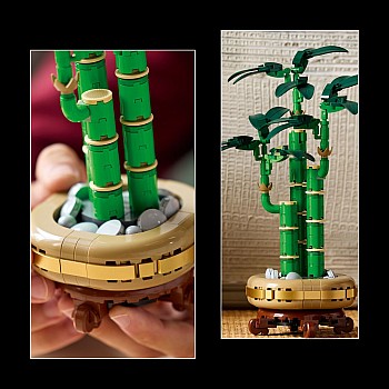  Lego Botanical 10344 Lucky Bamboo	