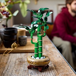  Lego Botanical 10344 Lucky Bamboo	