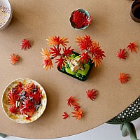 LEGO Botanicals: Japanese Red Maple Bonsai Tree