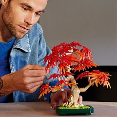 LEGO Botanicals: Japanese Red Maple Bonsai Tree