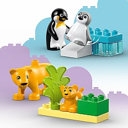  Lego Duplo 10442 Wild Animal Families, Penguins and Lions	