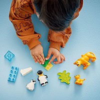 LEGO DUPLO: Wild Animal Families: Penguins & Lions