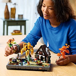  Lego Icons 11372 Autumn Cottage Garden 