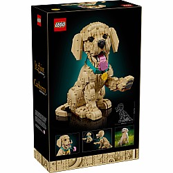 LEGO® Icons Golden Retriever Puppy