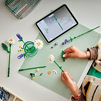LEGO Botanicals: Daisies