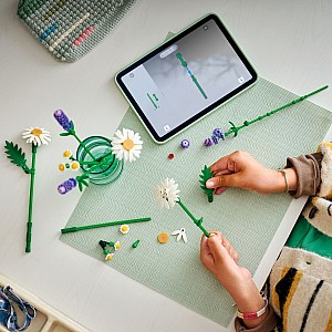 LEGO Botanicals: Daisies