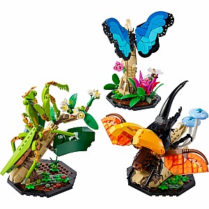 LEGOÂ® Ideas: The Insect Collection