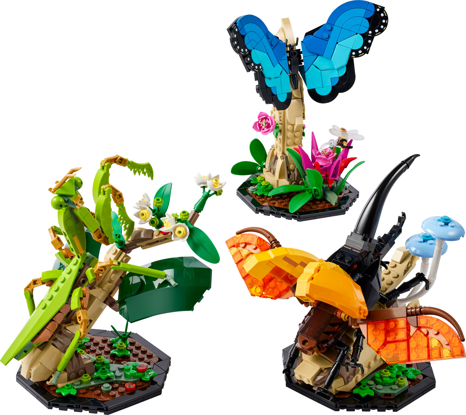 LEGOÂ® Ideas: The Insect Collection