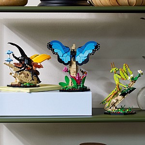 LEGOÂ® Ideas: The Insect Collection