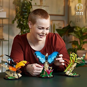 LEGOÂ® Ideas: The Insect Collection