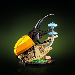 LEGOÂ® Ideas: The Insect Collection