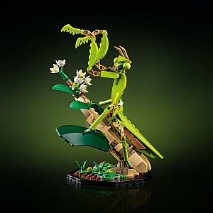 LEGOÂ® Ideas: The Insect Collection