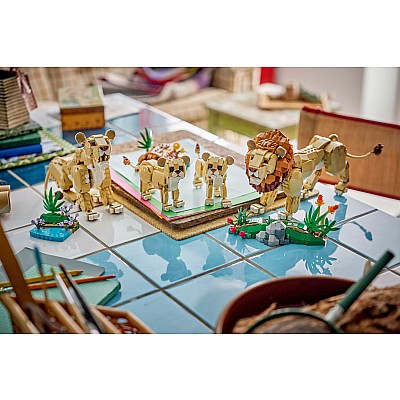 LEGO® Creator Wild Animals: Majestic Lion
