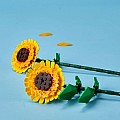 LEGOÂ® Flowers: Sunflowers