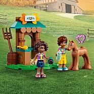 LEGO® Friends™: Autumn's House