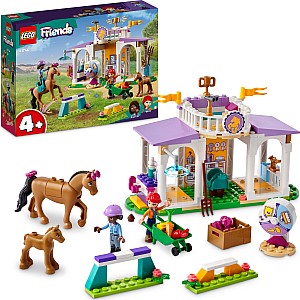 LEGO Friends Horse Training Set with Toy Pony