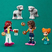 LEGO® Friends: Igloo Holiday Adventure