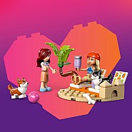 LEGO® Friends™: Surfing Dogs and Scooter Adventure