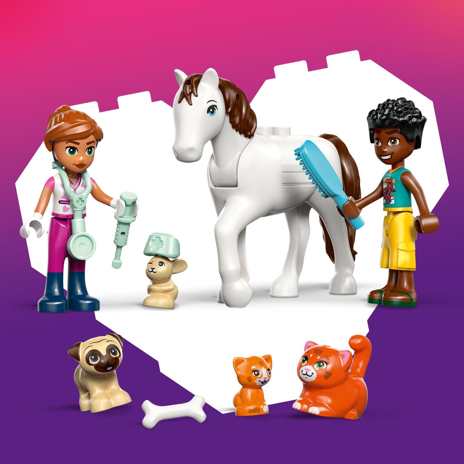 LEGO Friends: Animal Vet Clinic