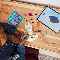 LEGO Disney Princess: Olaf and Bruni's Picnic Fun