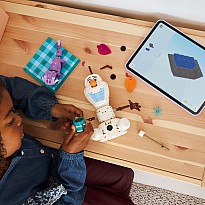 LEGO Disney Princess: Olaf and Bruni's Picnic Fun