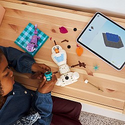 LEGO Disney Princess: Olaf and Bruni's Picnic Fun