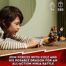 LEGO® Ninjago: Cole’s Earth Dragon EVO