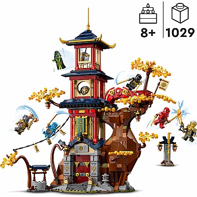 LEGO NINJAGO Temple of the Dragon Energy Cores