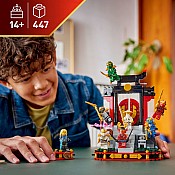 LEGO Ninjago: Ninja Character Display 15th Anniversary