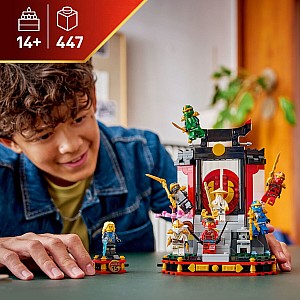 LEGO Ninjago: Ninja Character Display 15th Anniversary