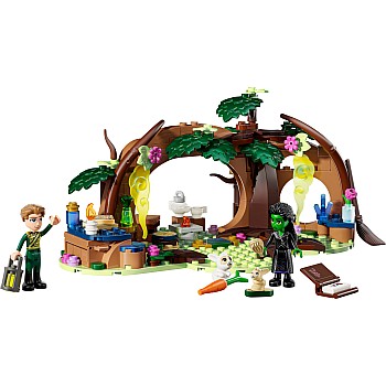  Lego Wicked 75687 Elphaba's Retreat	