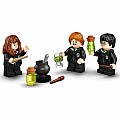 LEGO Harry Potter 76386: Hogwarts: Polyjuice Potion Mistake