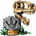 LEGOÂ® Jurassic Worldâ¢ Dinosaur Fossils: T. rex Skull